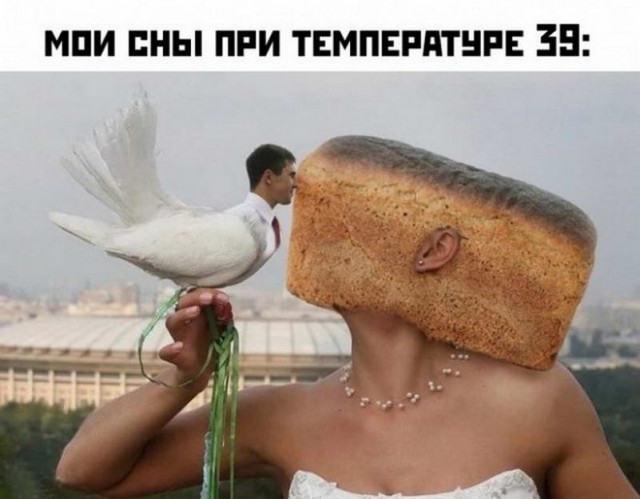 Картинки и мемы для настроения - 111