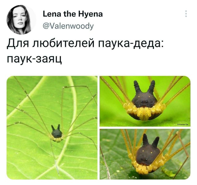 Я слишком стар для этого дерьма