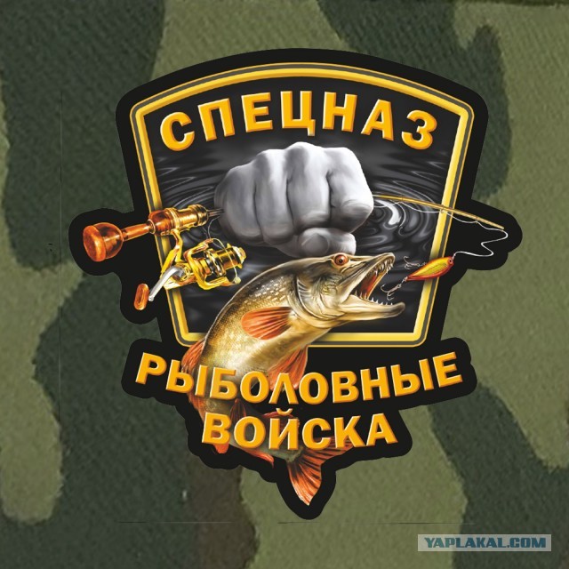 Рыболовные силы России