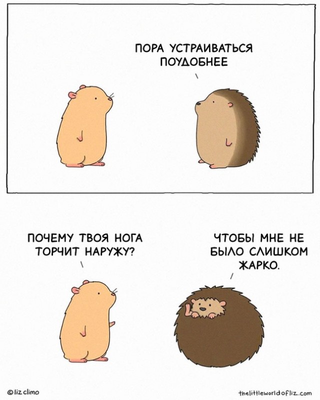 Картинки и мемы для настроения - 119