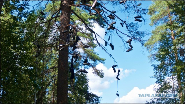 Поездка в Карелию