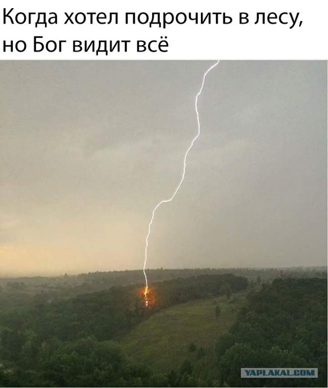 Перед грозой в поле