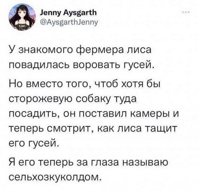 Подборка картинок 05.05.2023