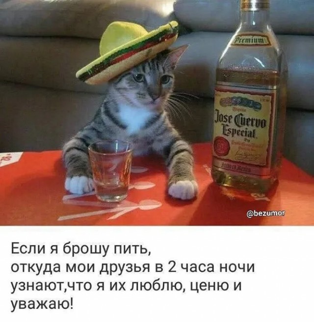 Алкопост на выходные 22.07.23