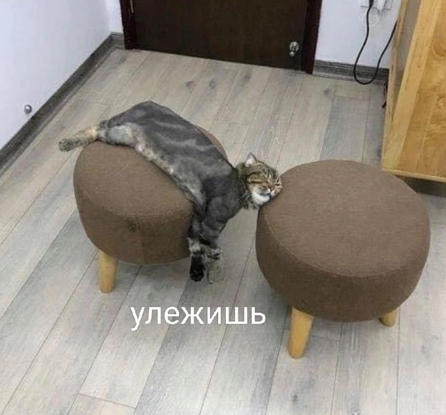 Так себе картинки 01.10.23