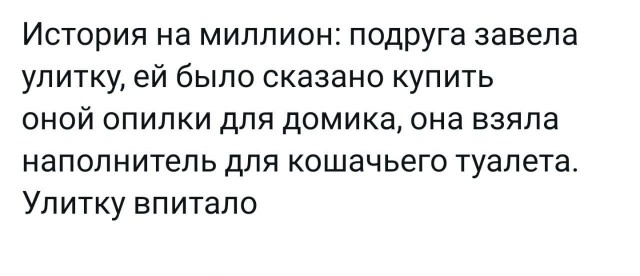 Народная меДИЧина 7037