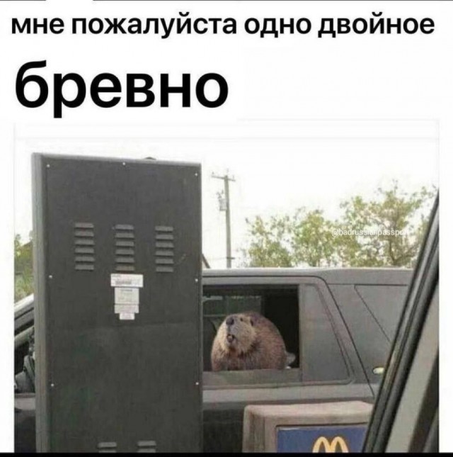 Так себе картинки 16.01.24