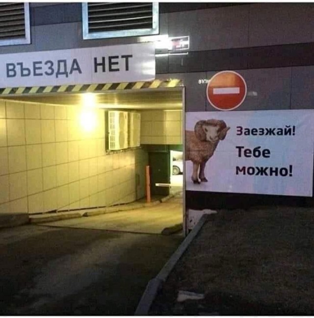 Перлы 30.01.24