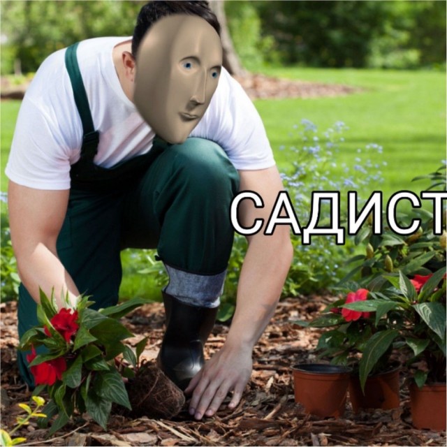 Деграднём?