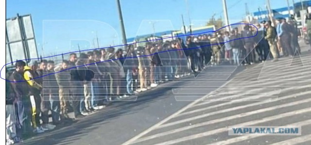 Силовики положили лицом в асфальт всех, кто стоял в очереди на российско-казахстанской границе
