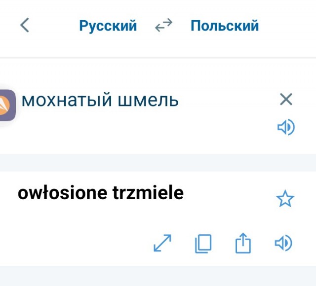 Так себе картинки 29.11.24