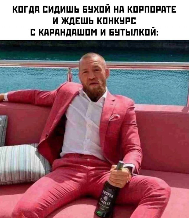 Весёлый полтишок 29.12.24