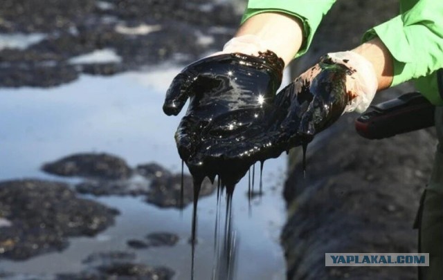 Зачем США покупают нефть во всем мире, когда сами добывают ее больше всех и одни из лидеров по ее продаже?