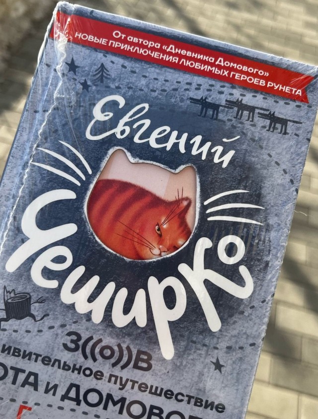 Новые приключения Кота и Домового