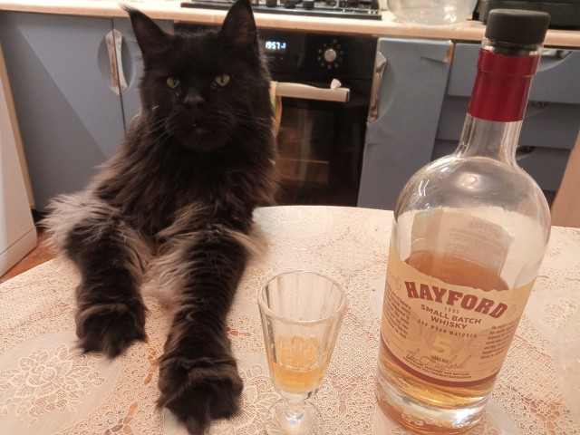 Кошка Муся жива!