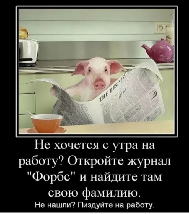 Так себе картинки 16.05.25