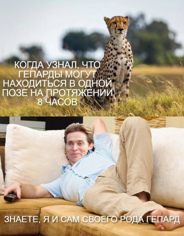Картинки разные для настроения