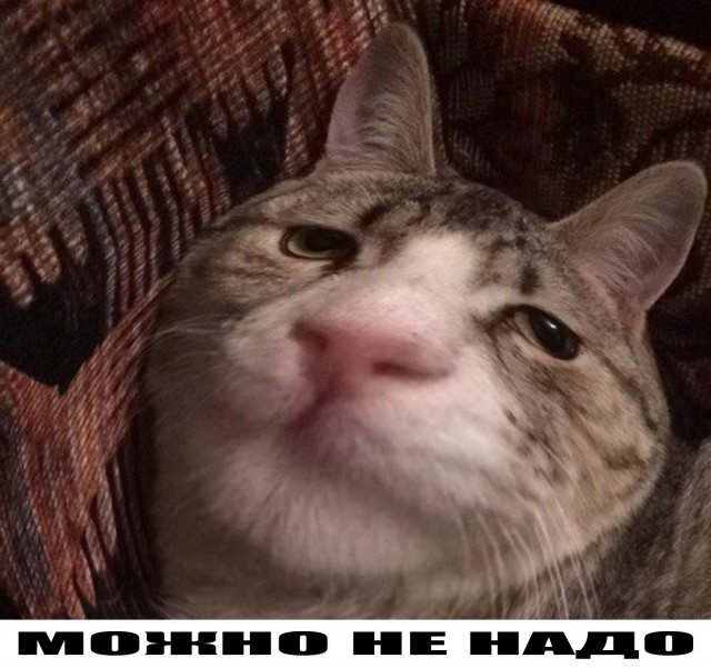 Папка с ответами