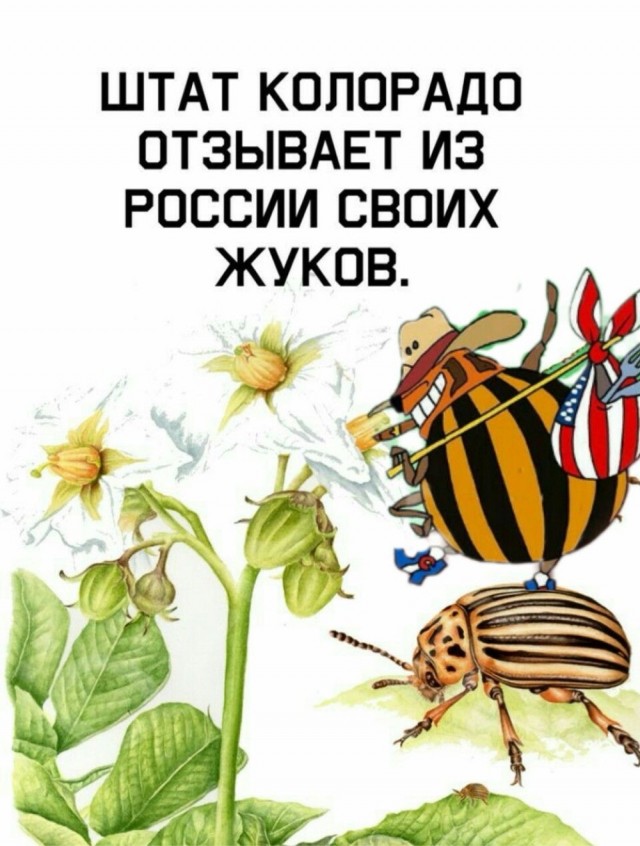 Прикольные и просто красивые картинки 13.06.2025