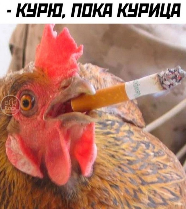 ТРРРидцать тРРРи от 19 июня