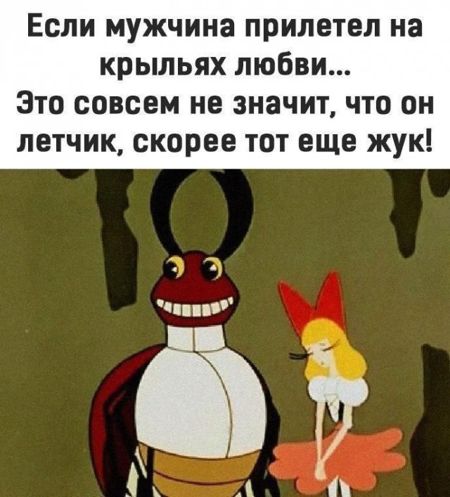 Так себе картинки 22.08.25