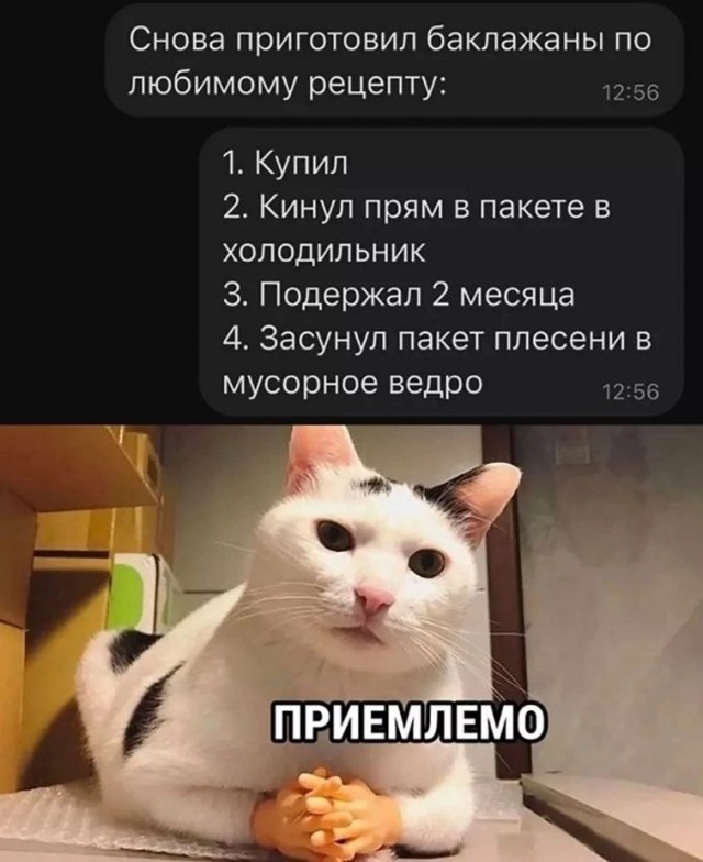 Так себе картинки 24.08.25