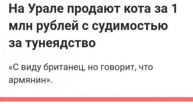 Обычный кандидат в депутаты