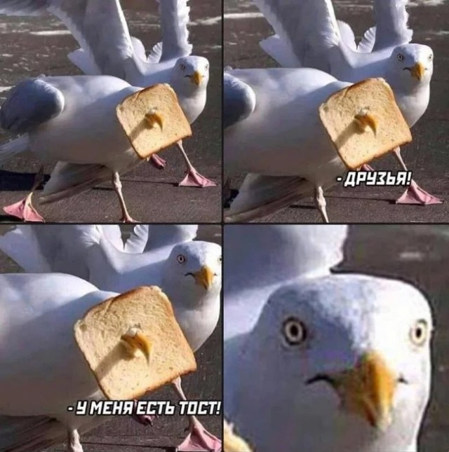 Октябрь, день десятый …