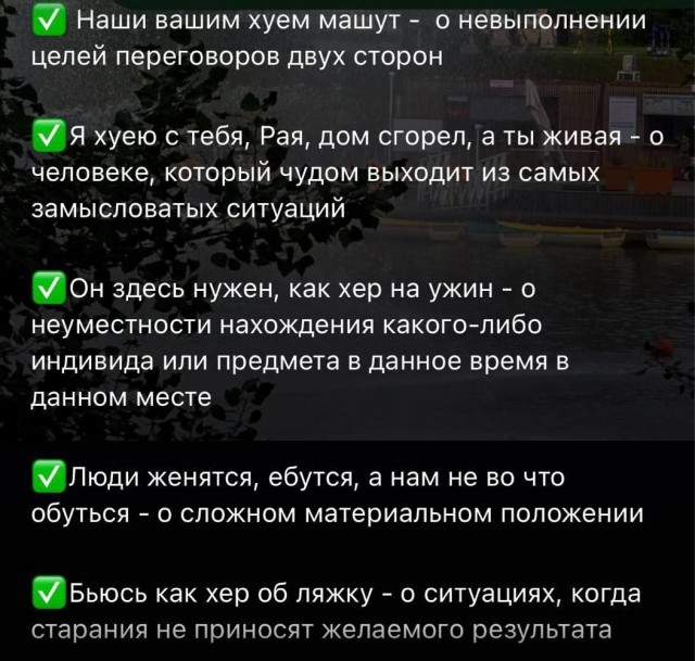 Картинки для деградации 83 (разной степени свежести)