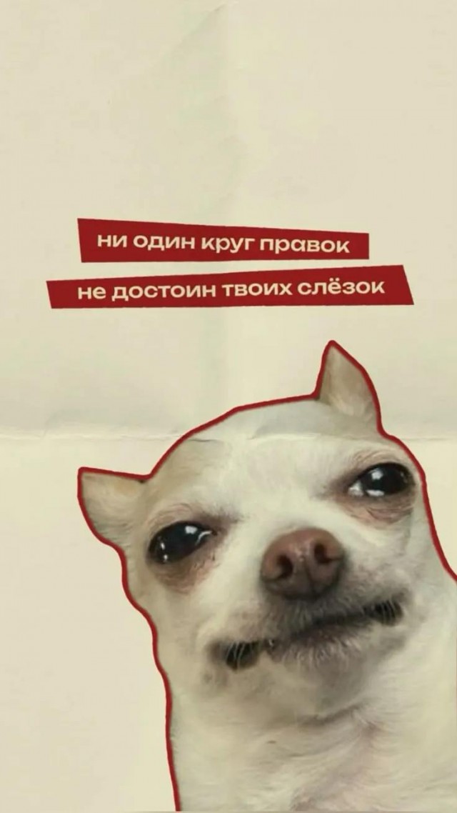 Картиночки, баянчики 23 декабря