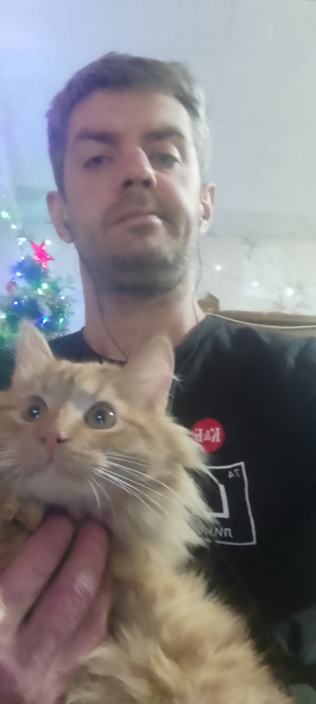 К котовторнику готов !
