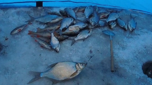 На Сахалине развернули призывной пункт на месте ловли корюшки