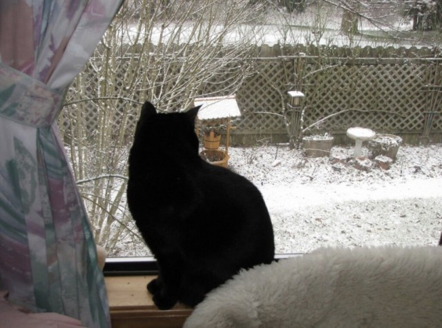 Картиночки на 15.01.2026