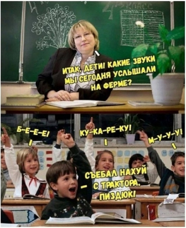 Так себе картинки 21.01.26