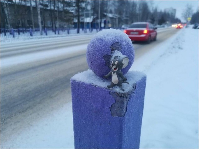 35 интересных и прикольных фото из Сети 29.01.26