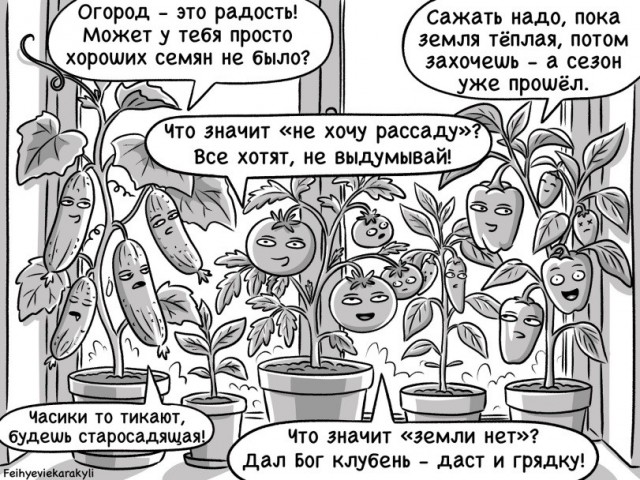 Картинки