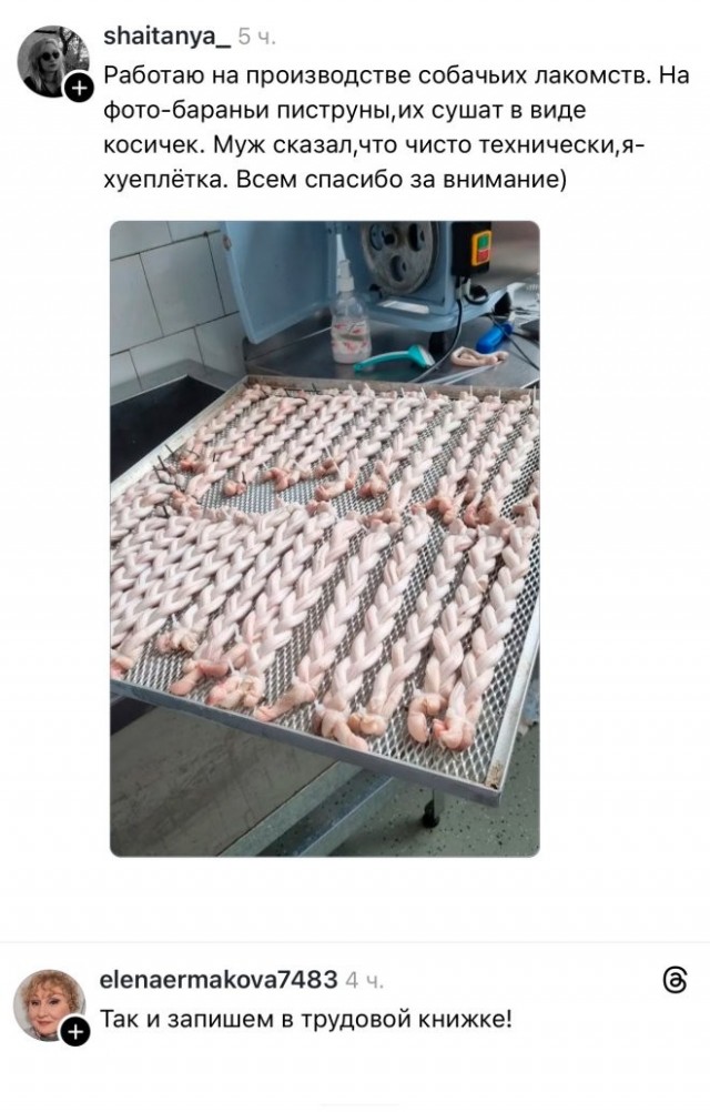 Веселые картинки в маленькую пятницу (29.04)