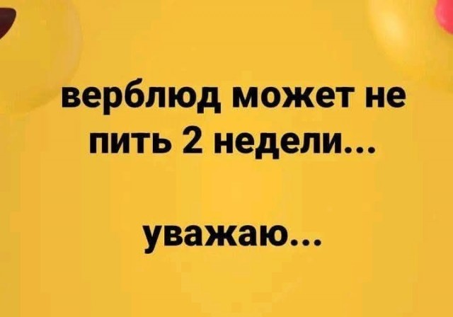 Воскресные картинки