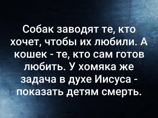 Отпускаю на радугу  крыску
