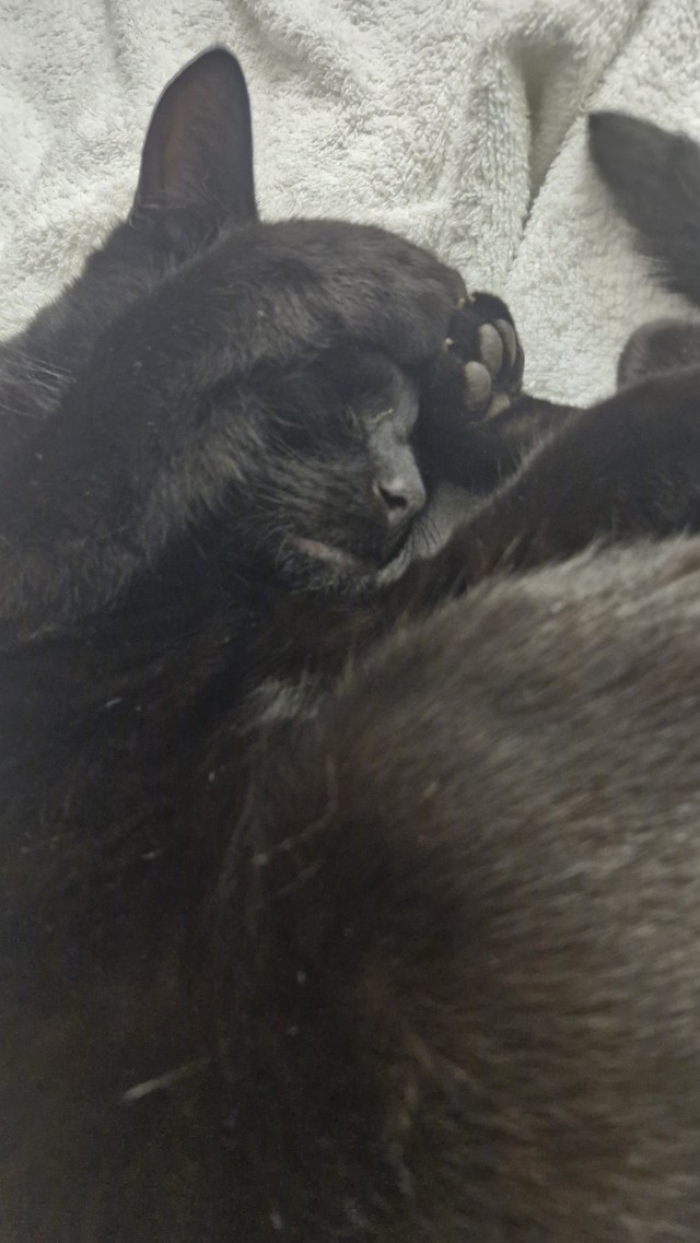 Котское.