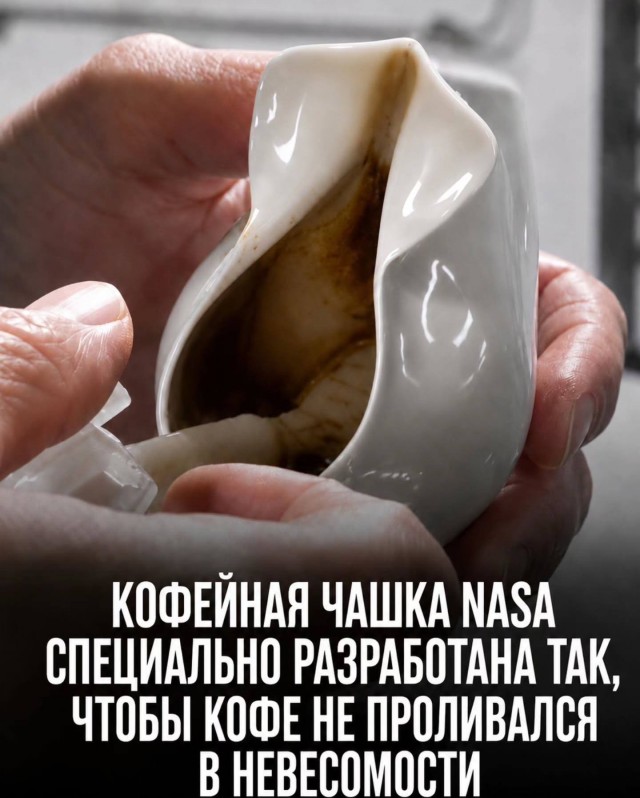 Картинки для деградации 232 (разной степени свежести)