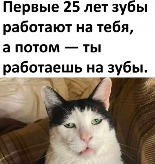 Потная гамсахурдия №7