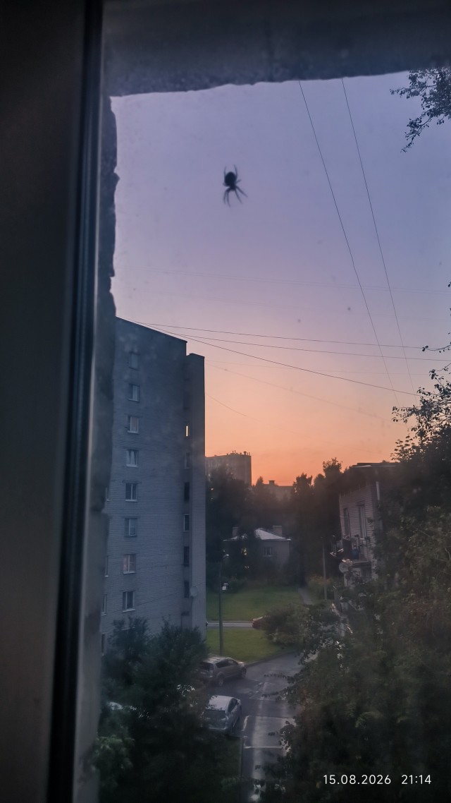 У меня Валера завёлся