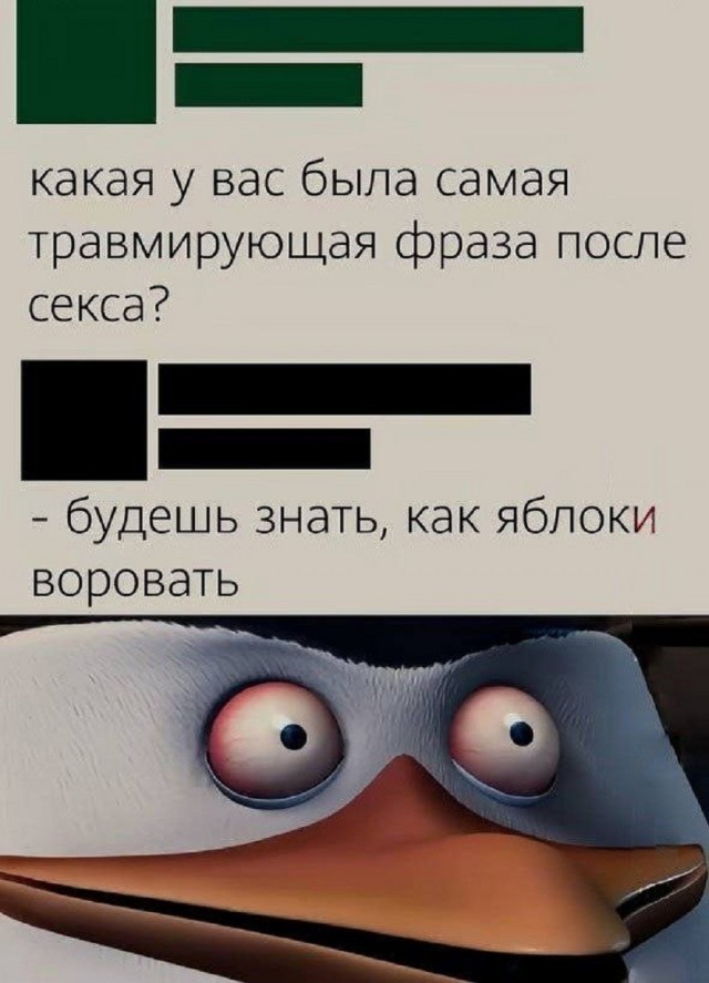 Так себе картинки 22.08.26