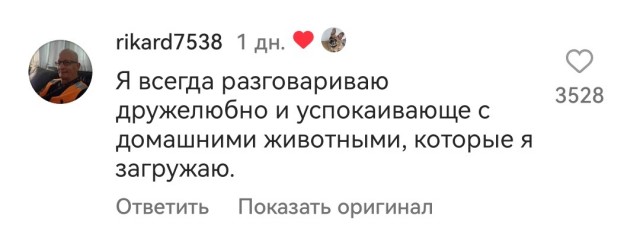 Абсолютная забота