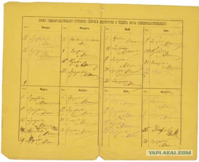 Медицинский билет проститутки от 1898 года. Антиквариатъ