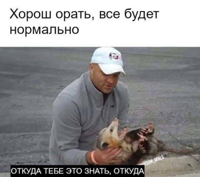 Картинки для деградации 293 (разной степени свежести)