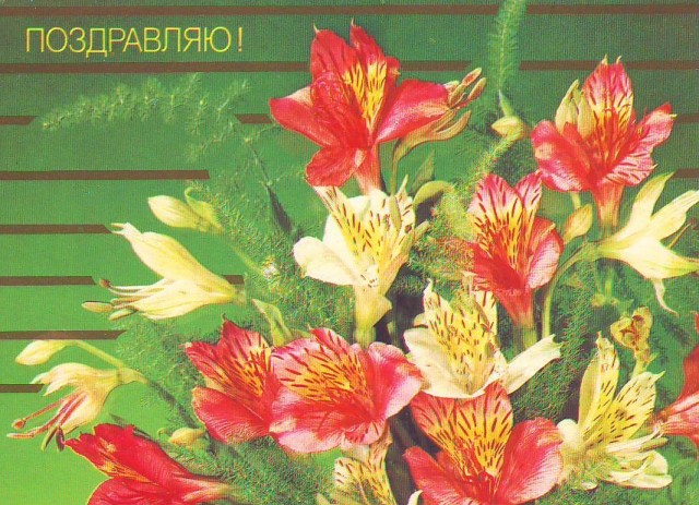 Советские открытки с цветочками № 2