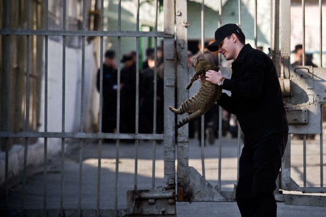 Зона. Вид почти изнутри