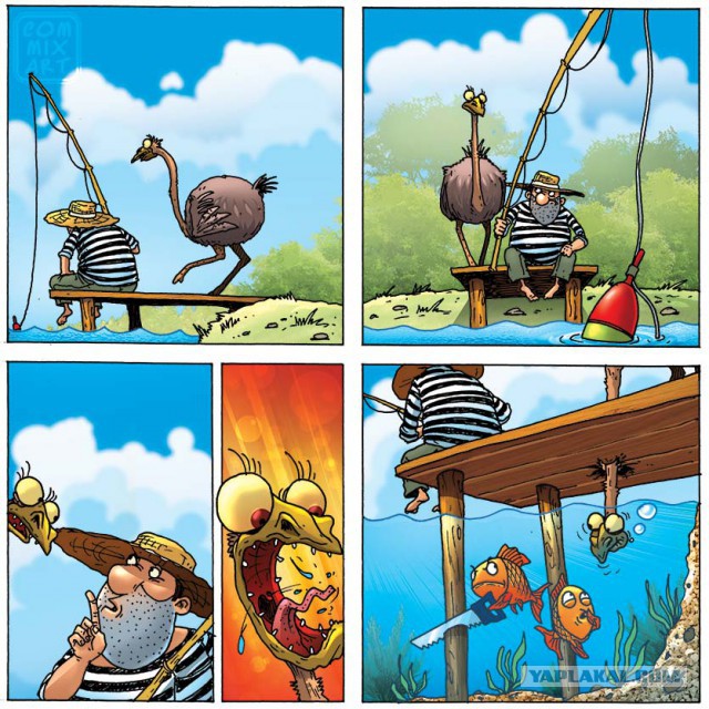 Про страуса..